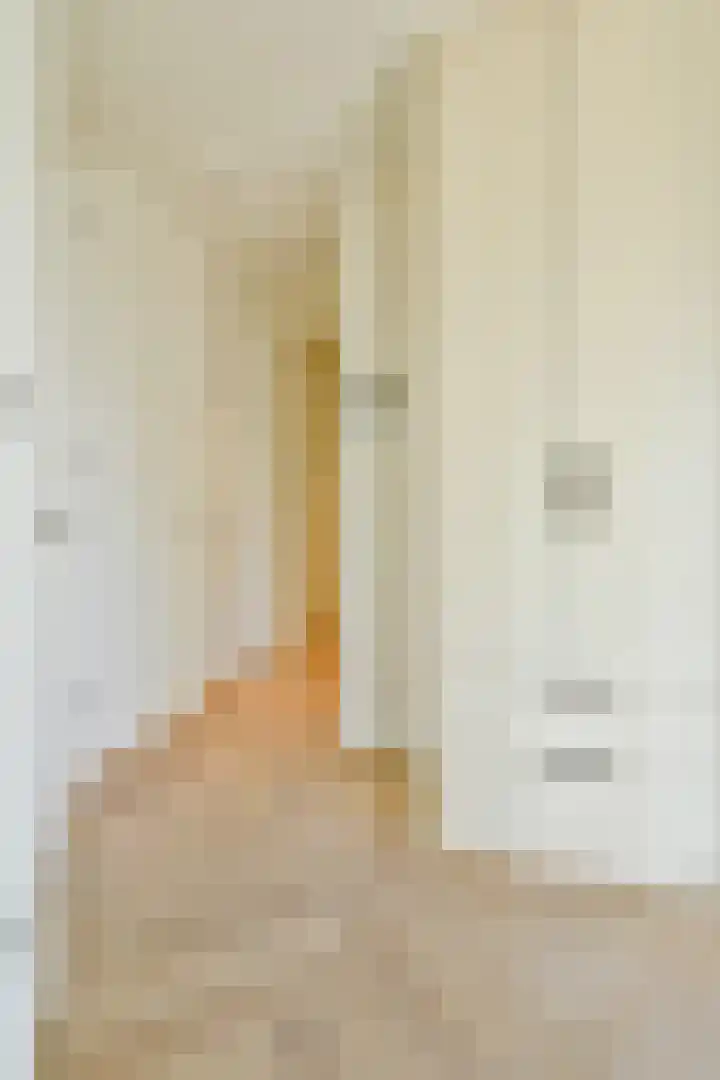 Tweede Hugo de Grootstraat 38 2 Amsterdam thumbnail 19