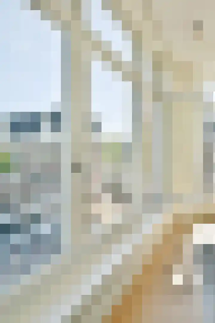 Tweede Hugo de Grootstraat 38 2 Amsterdam thumbnail 6