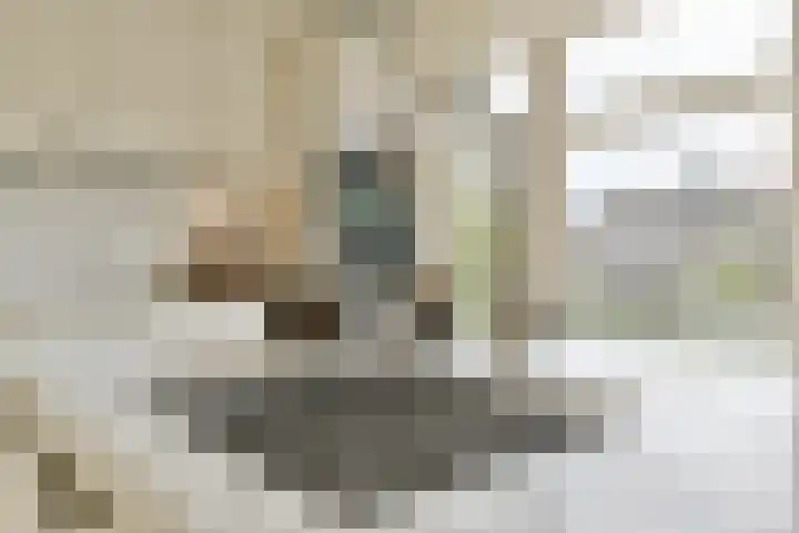 Tweede Hugo de Grootstraat 38 2 Amsterdam thumbnail 7