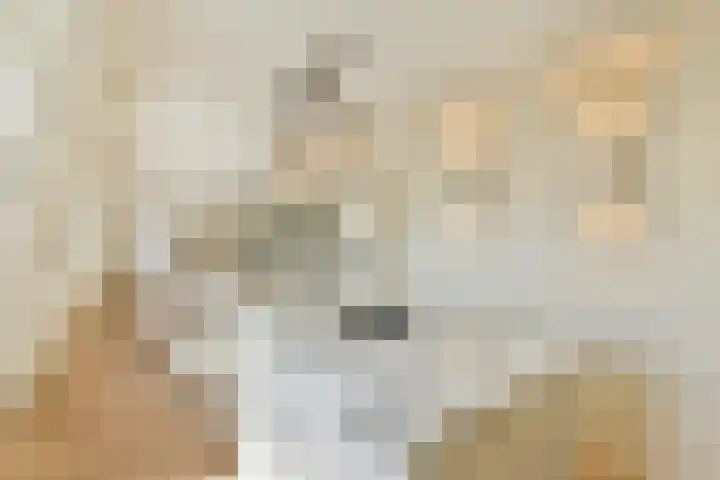 Tweede Hugo de Grootstraat 38 4 Amsterdam thumbnail 7