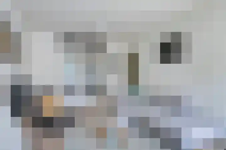 Tweede Hugo de Grootstraat 42 2 Amsterdam thumbnail 6