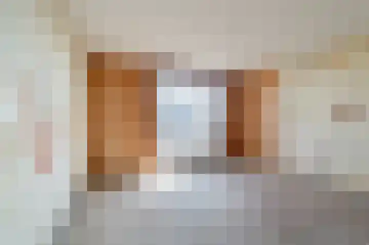 Tweede Hugo de Grootstraat 66 H Amsterdam thumbnail 23