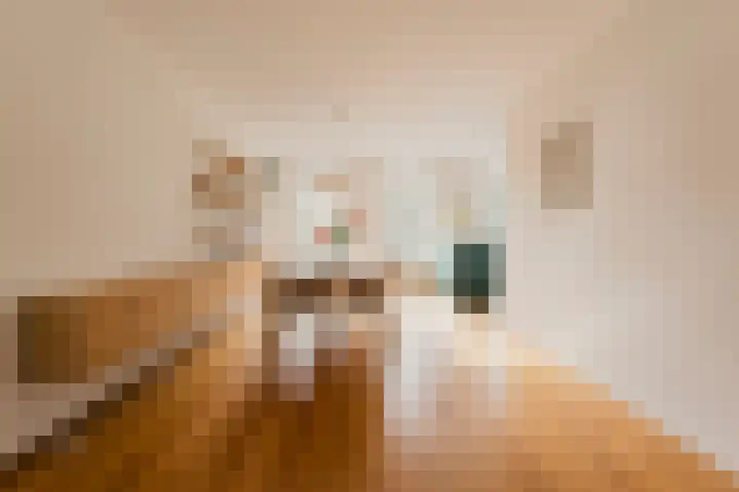 Tweede Jacob van Campenstraat 120 2 Amsterdam thumbnail 8