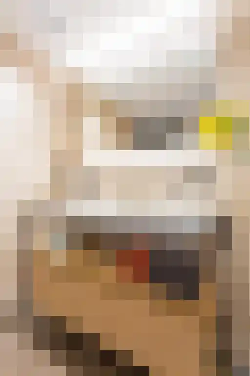 Tweede Jacob van Campenstraat 138 2 Amsterdam thumbnail 23