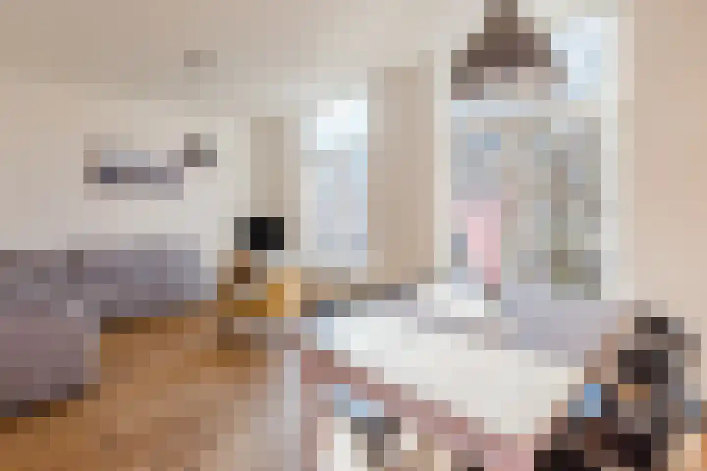 Tweede Jacob van Campenstraat 5 Amsterdam thumbnail 13