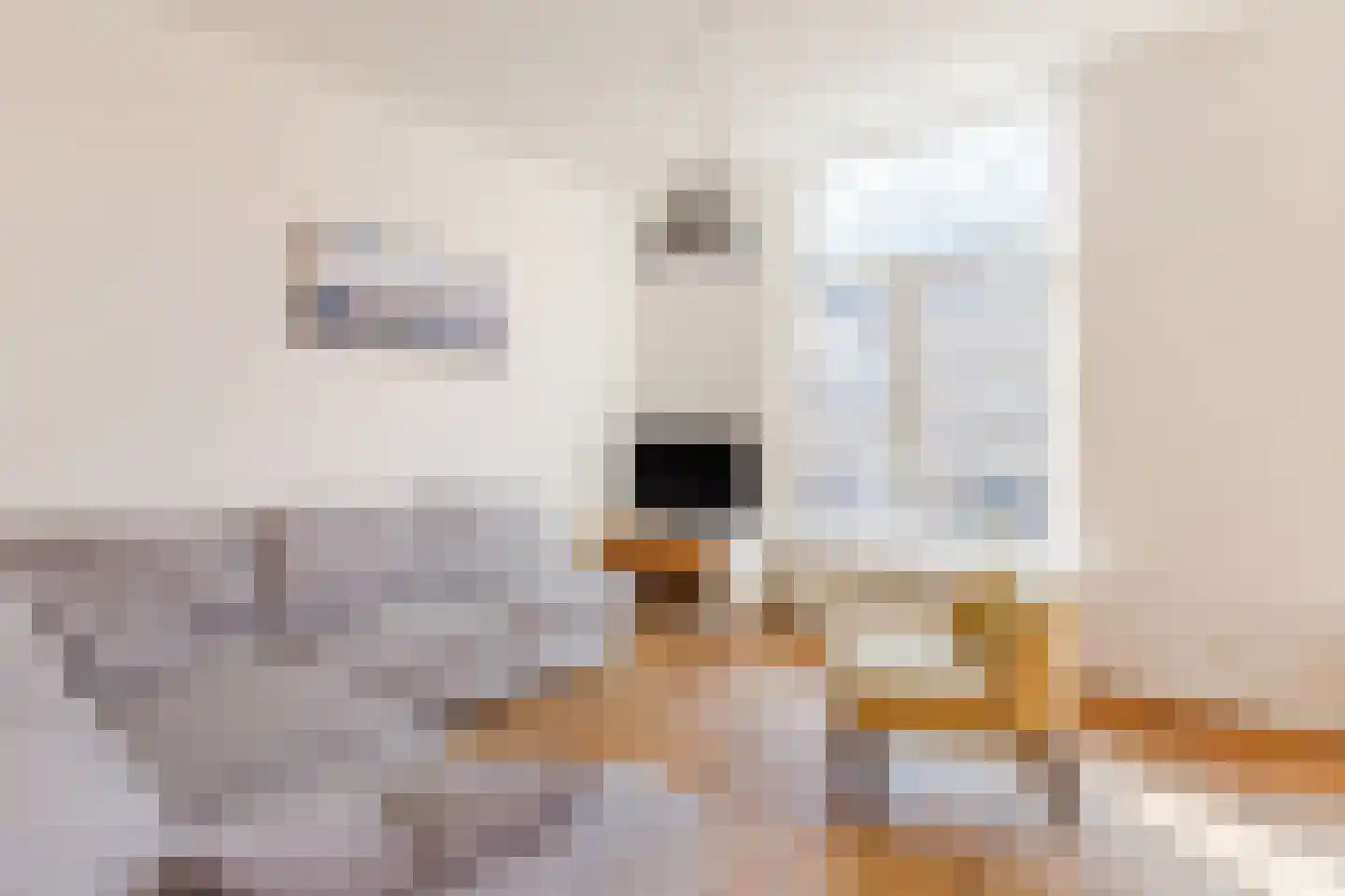Tweede Jacob van Campenstraat 5 Amsterdam thumbnail 9
