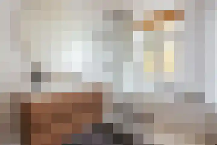 Tweede Jacob van Campenstraat 92 2R Amsterdam thumbnail 18