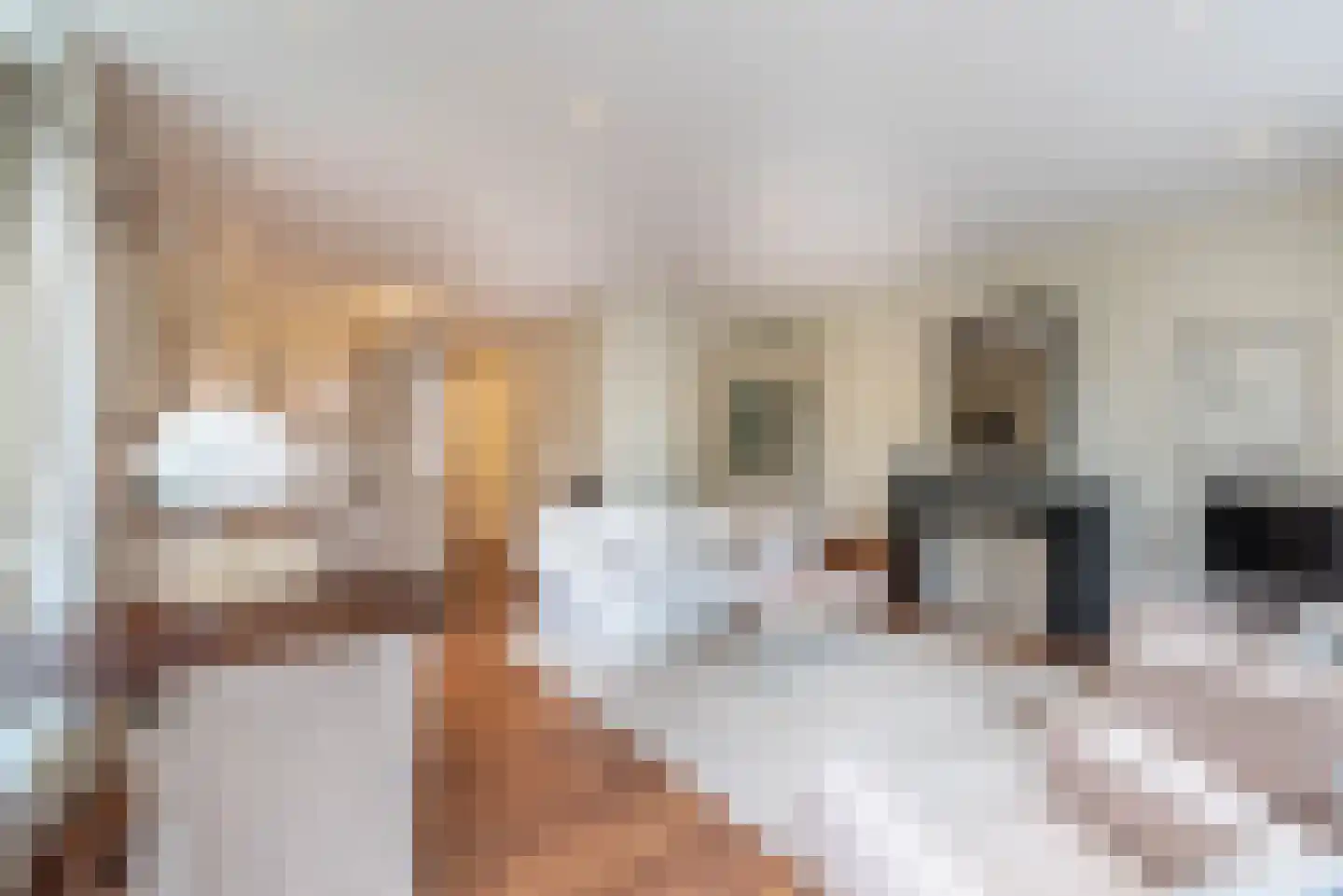Tweede Jan Steenstraat 1 2 Amsterdam thumbnail 5