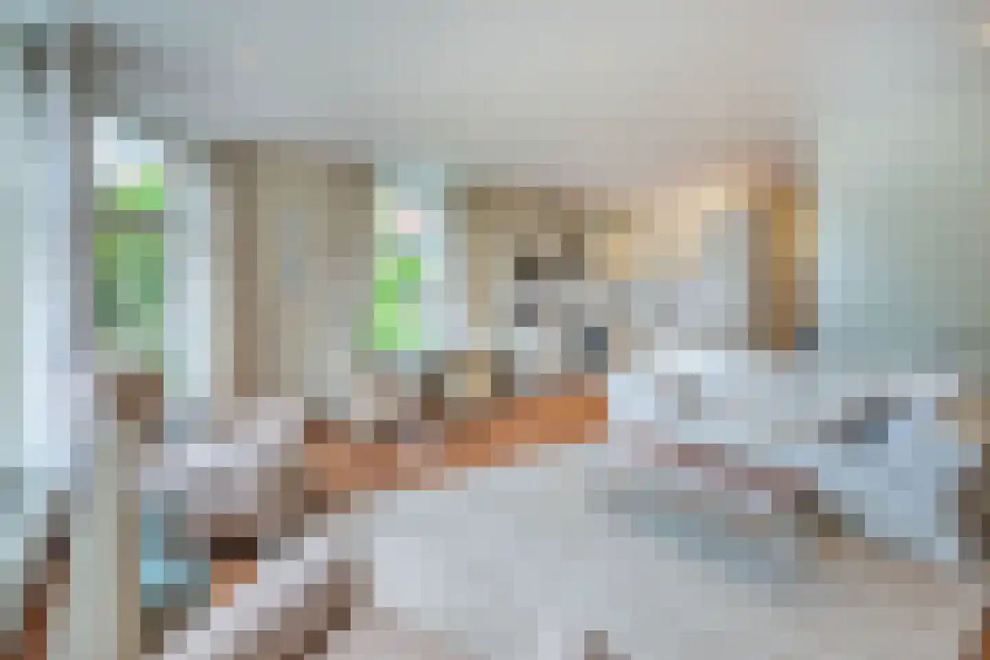 Tweede Jan Steenstraat 1 2 Amsterdam thumbnail 7
