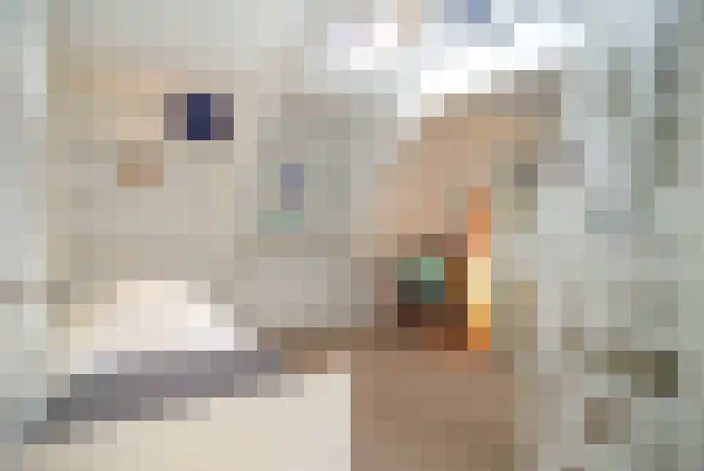 Tweede Jan Steenstraat 101 3 Amsterdam thumbnail 19