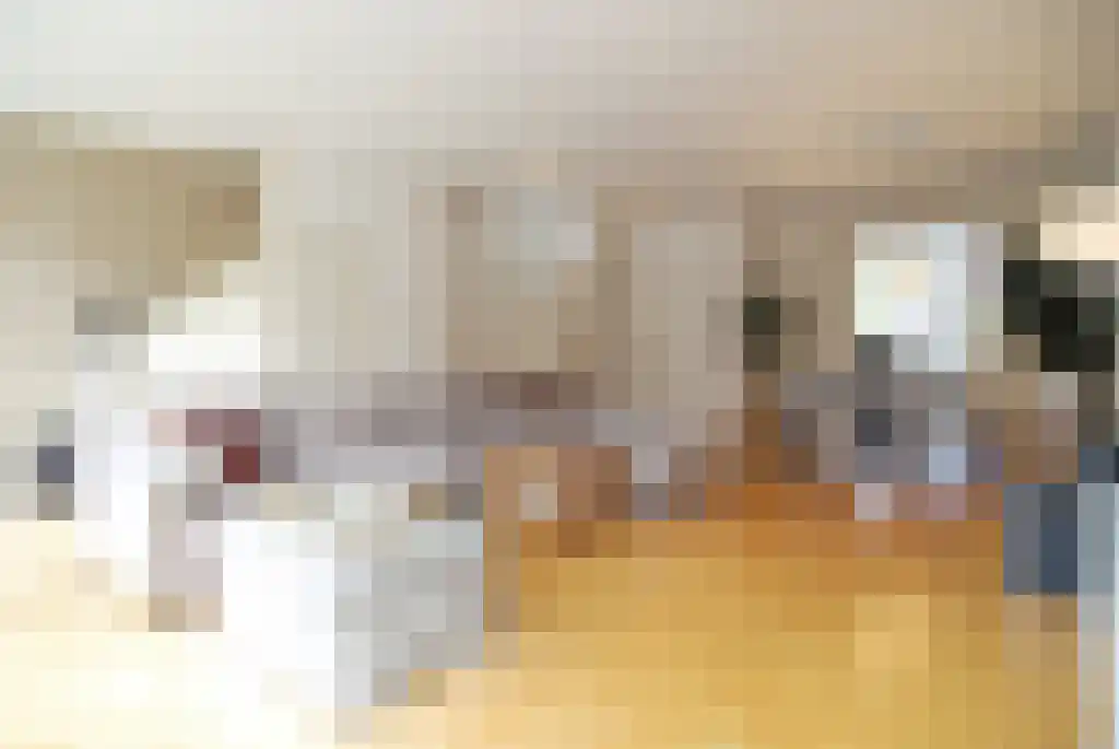 Tweede Jan Steenstraat 101 3 Amsterdam thumbnail 5