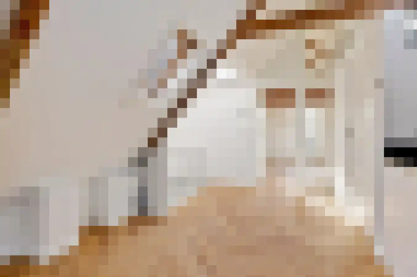Tweede Jan Steenstraat 112 4 Amsterdam thumbnail 5