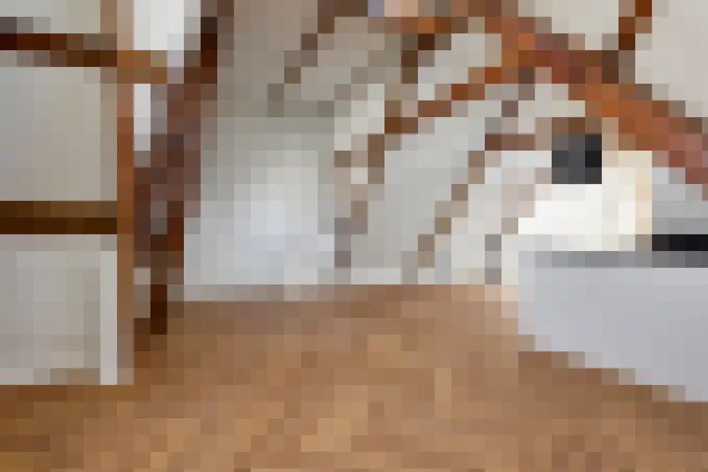 Tweede Jan Steenstraat 112 4 Amsterdam thumbnail 9