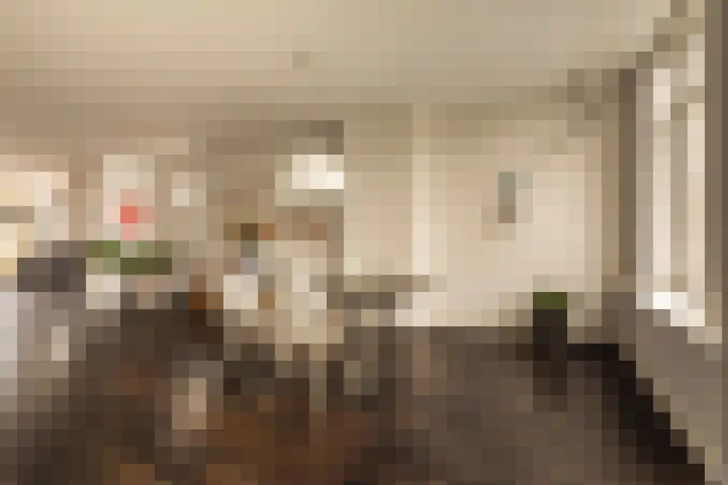 Tweede Jan Steenstraat 114 3 Amsterdam thumbnail 10