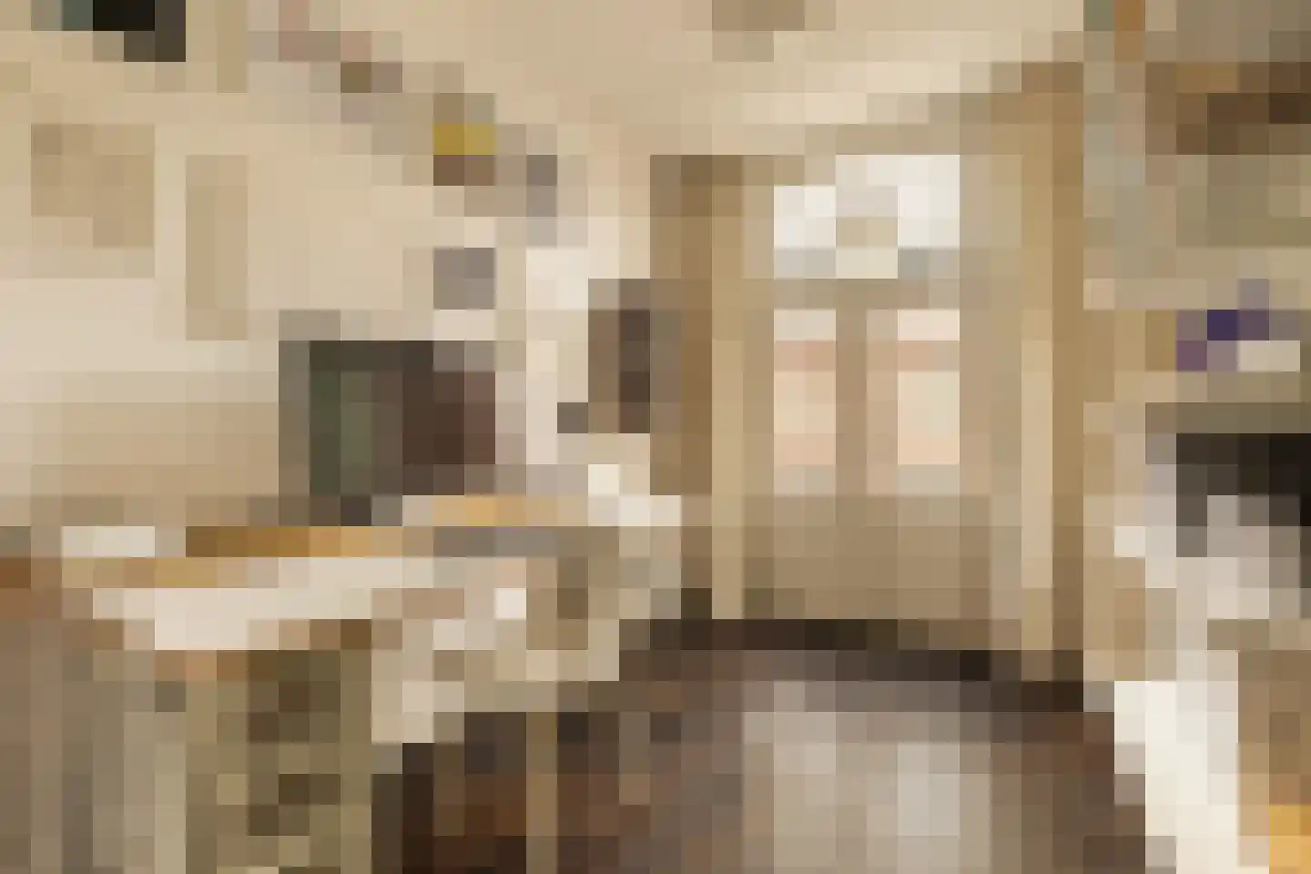 Tweede Jan Steenstraat 114 3 Amsterdam thumbnail 20