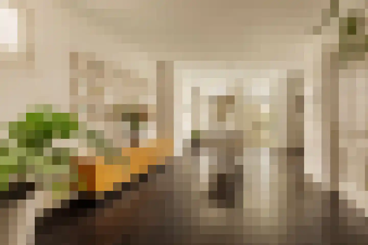 Tweede Jan Steenstraat 114 3 Amsterdam thumbnail 8