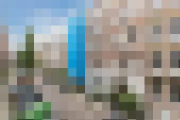 Tweede Jan Steenstraat 115 2 en Amsterdam