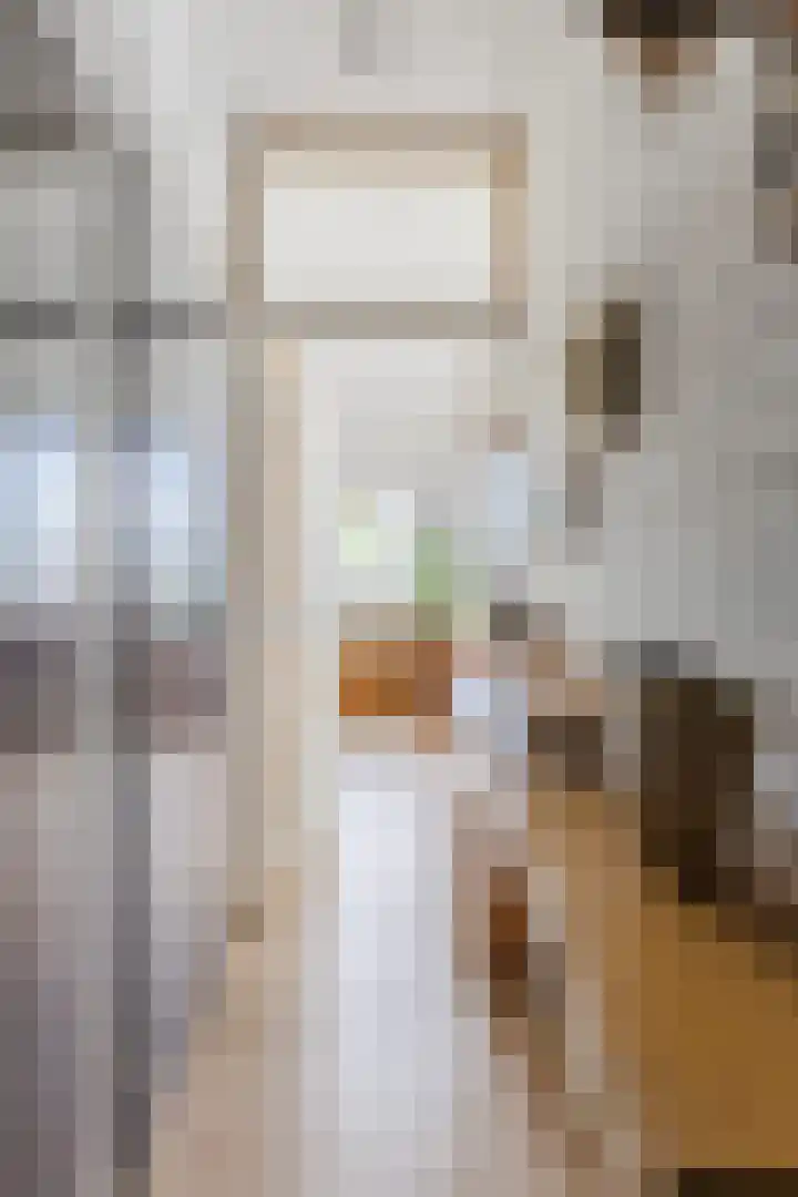 Tweede Jan Steenstraat 115 2 Amsterdam thumbnail 11