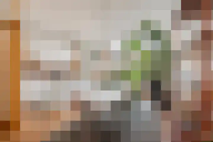Tweede Jan Steenstraat 117 1 Amsterdam thumbnail 12