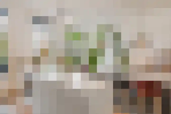 Tweede Jan Steenstraat 117 1 Amsterdam thumbnail 18