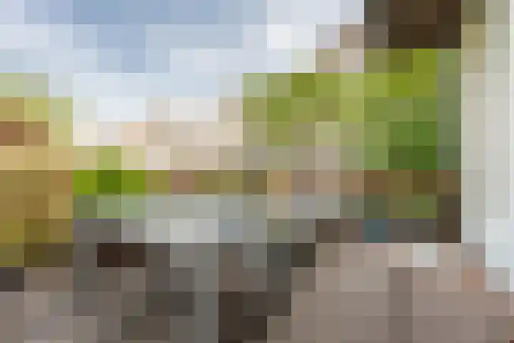 Tweede Jan Steenstraat 117 1 Amsterdam thumbnail 22