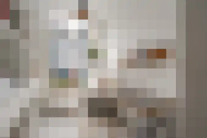 Tweede Jan Steenstraat 117 1 Amsterdam thumbnail 32