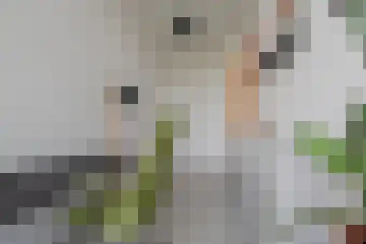 Tweede Jan Steenstraat 117 1 Amsterdam thumbnail 33