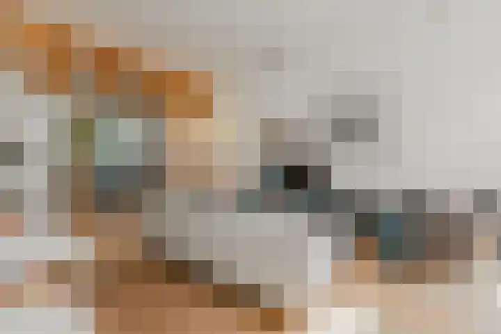 Tweede Jan Steenstraat 117 1 Amsterdam thumbnail 5