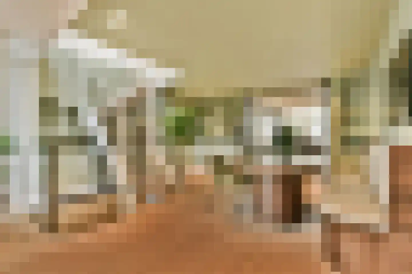 Tweede Jan Steenstraat 119 3 Amsterdam thumbnail 10