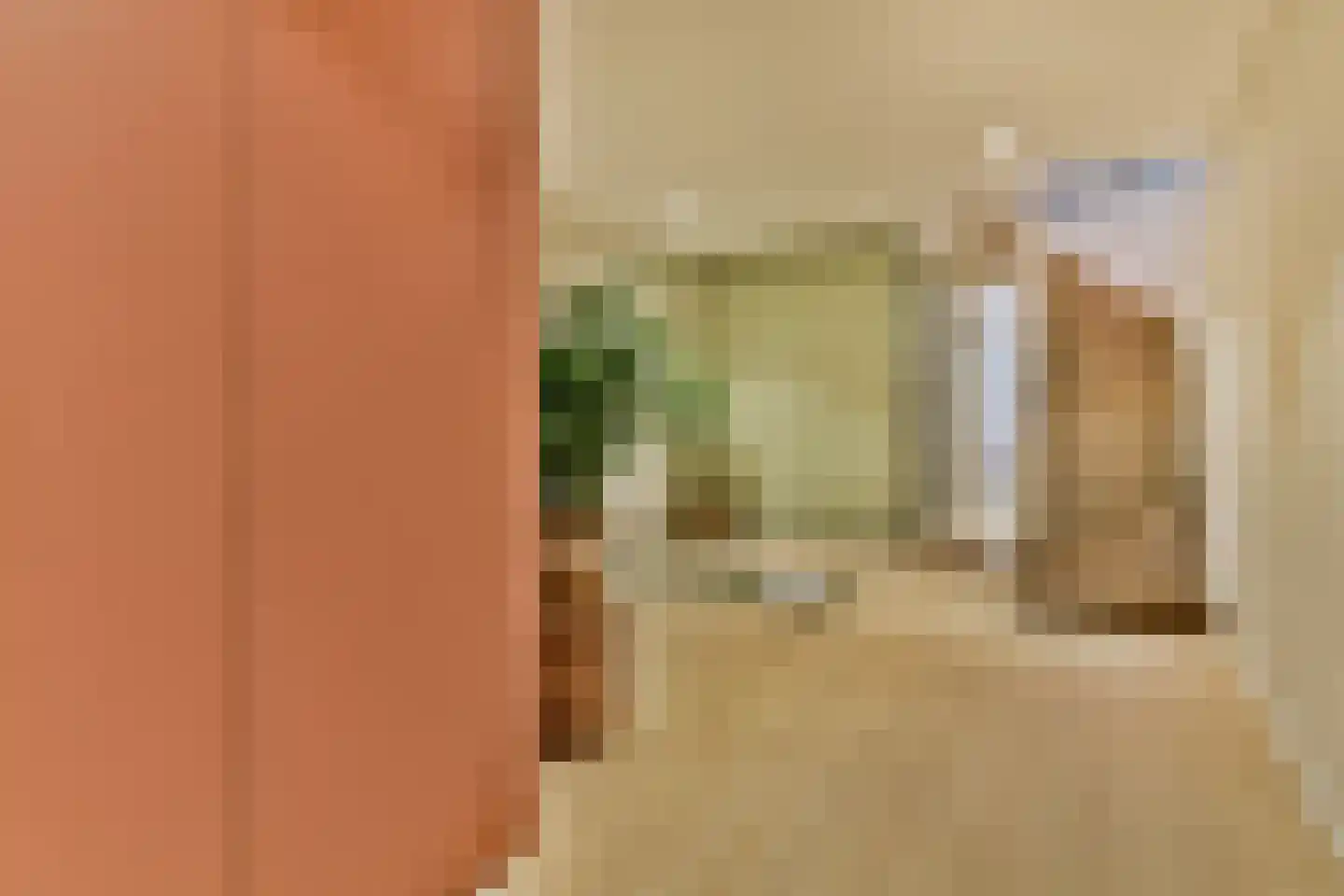 Tweede Jan Steenstraat 119 3 Amsterdam thumbnail 13