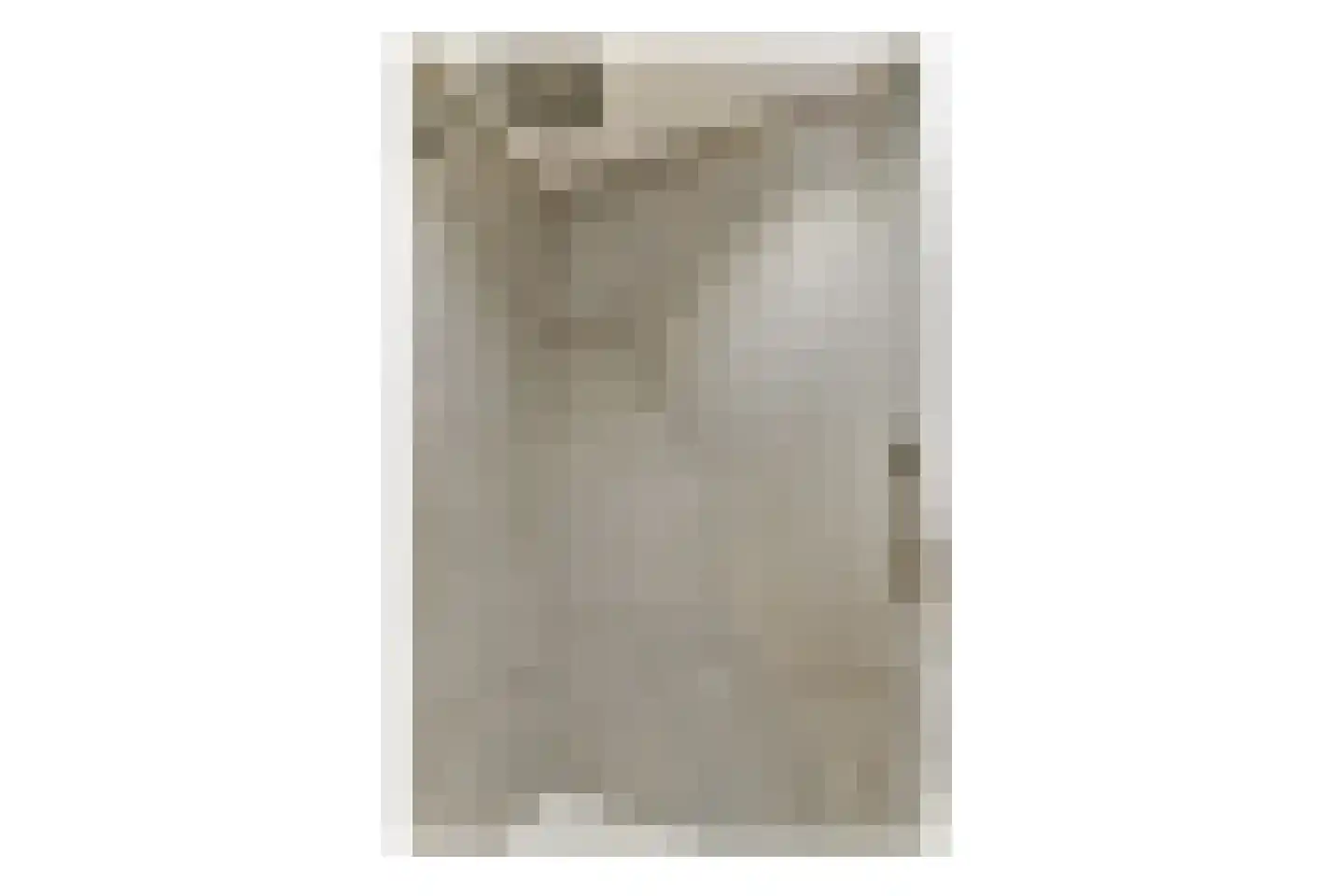 Tweede Jan Steenstraat 119 3 Amsterdam thumbnail 20