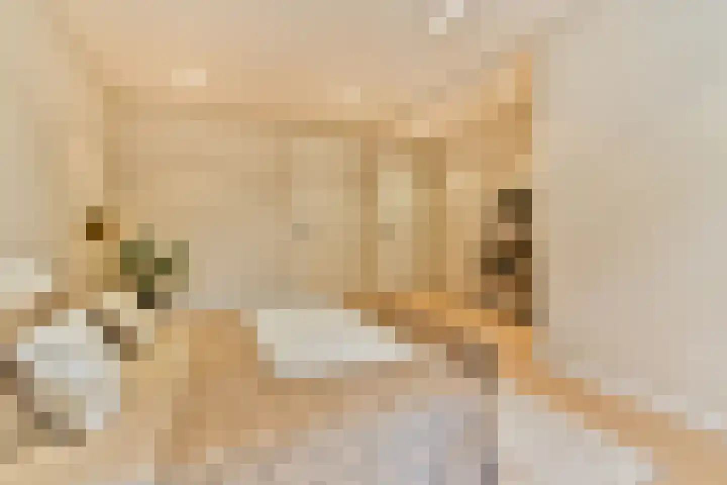 Tweede Jan Steenstraat 119 3 Amsterdam thumbnail 32