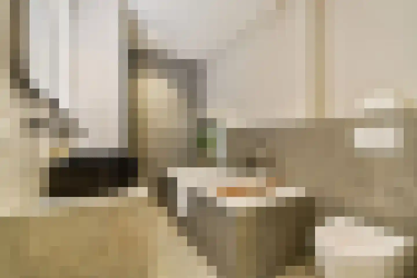 Tweede Jan Steenstraat 119 3 Amsterdam thumbnail 33