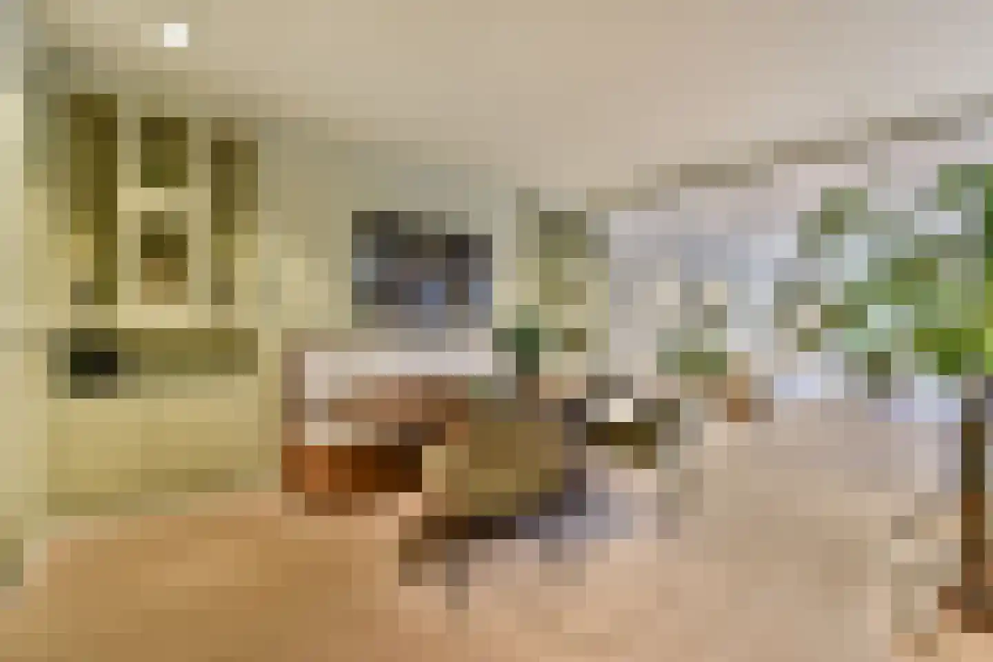 Tweede Jan Steenstraat 119 3 Amsterdam thumbnail 5
