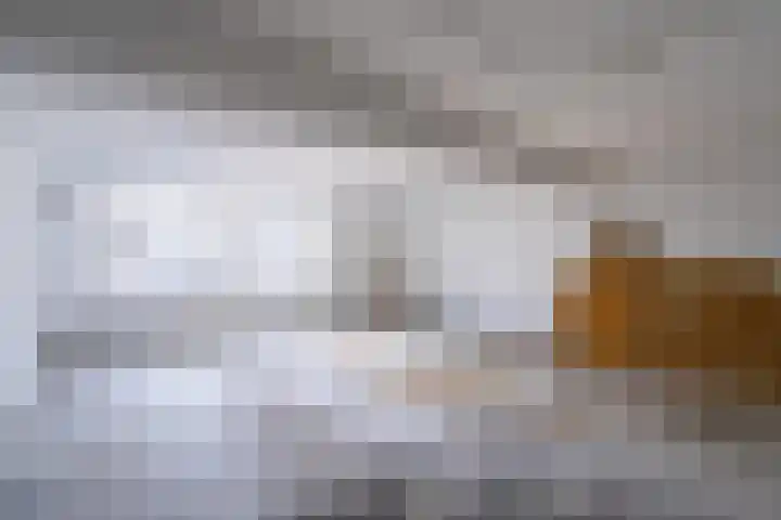 Tweede Jan Steenstraat 121 1 Amsterdam thumbnail 28