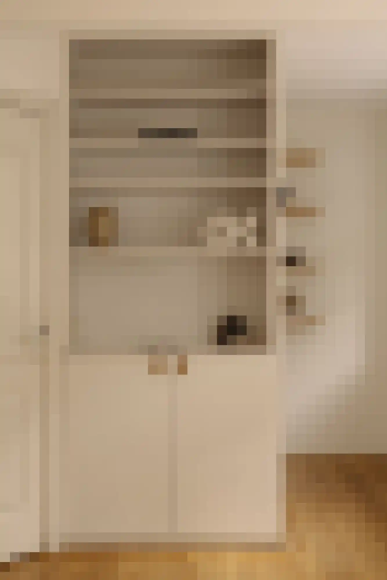 Tweede Jan Steenstraat 2 1 Amsterdam thumbnail 11