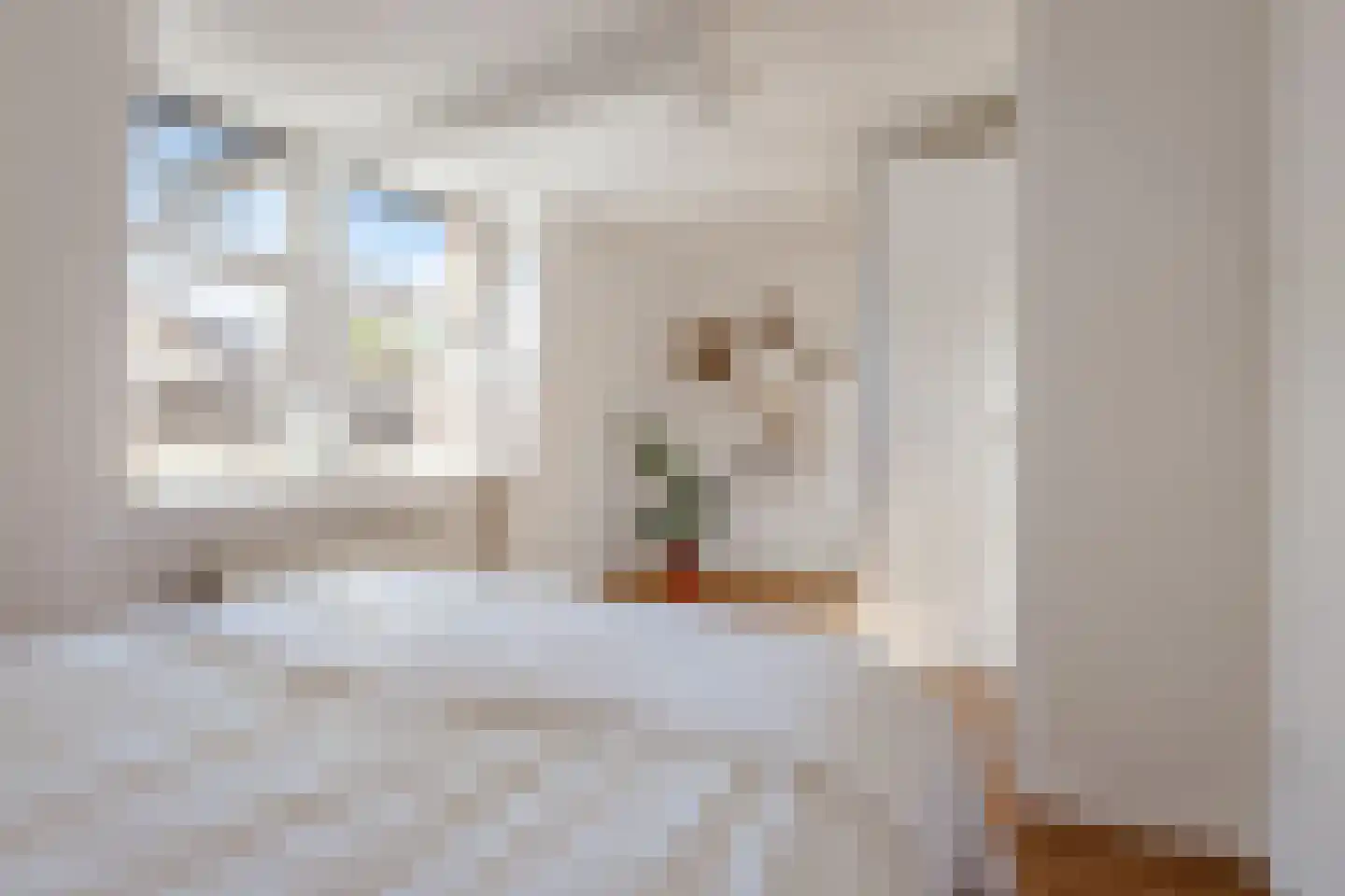 Tweede Jan Steenstraat 31 1 Amsterdam thumbnail 17