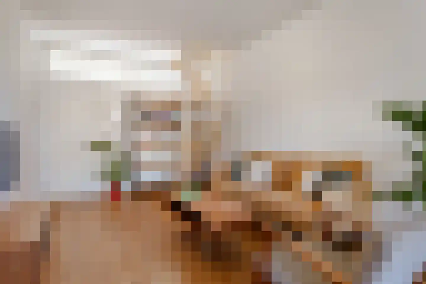 Tweede Jan Steenstraat 31 1 Amsterdam thumbnail 5