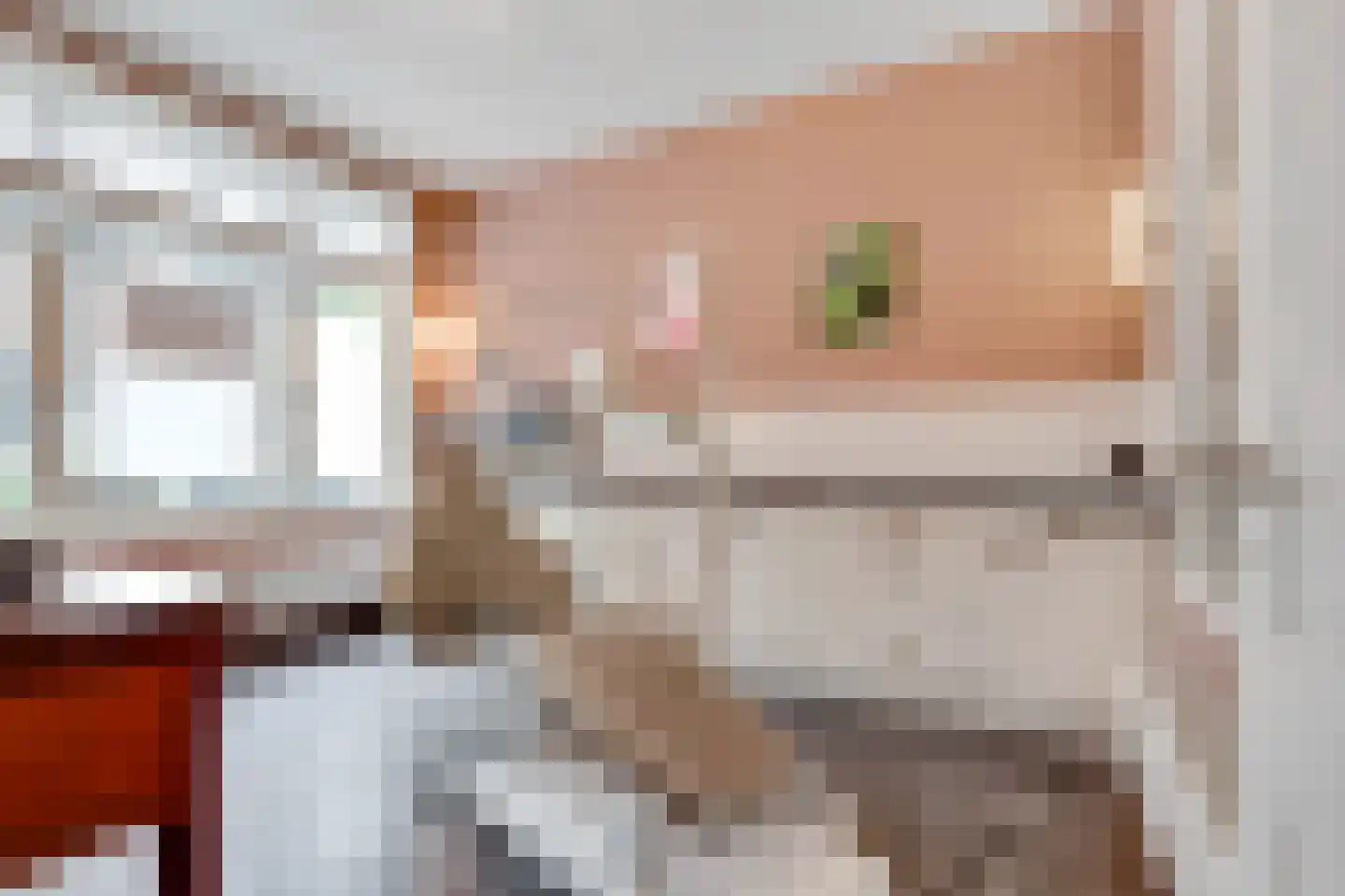 Tweede Jan Steenstraat 35 2 Amsterdam thumbnail 35