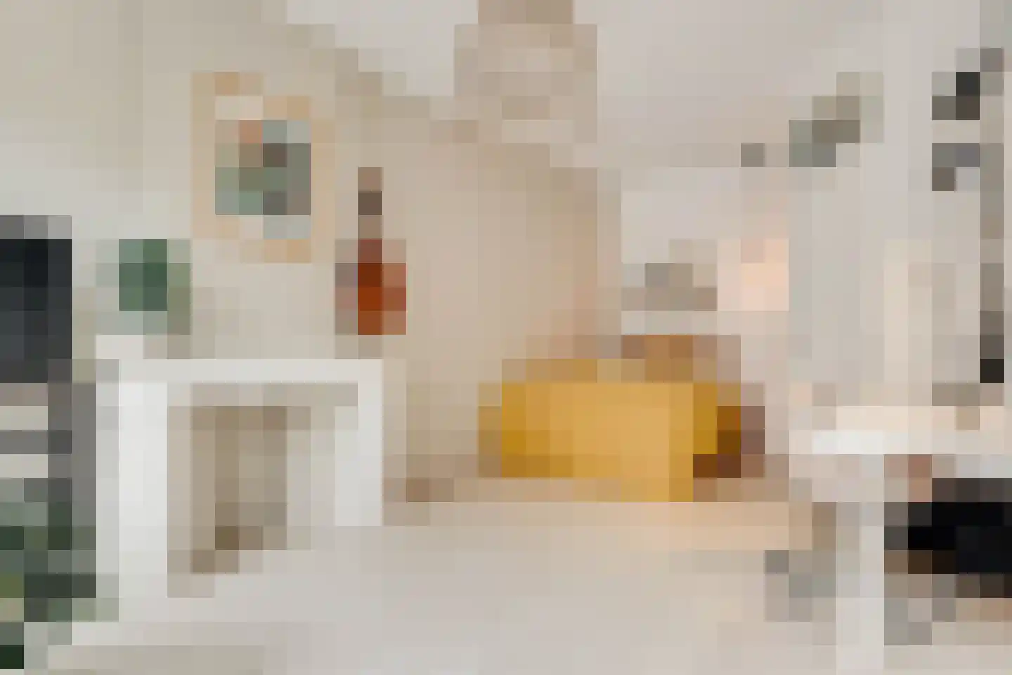 Tweede Jan Steenstraat 35 H Amsterdam thumbnail 25