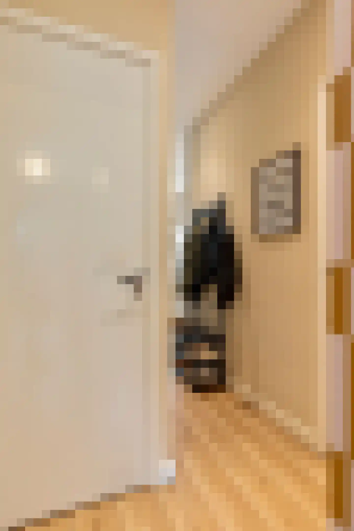 Tweede Jan Steenstraat 40 2 Amsterdam thumbnail 27