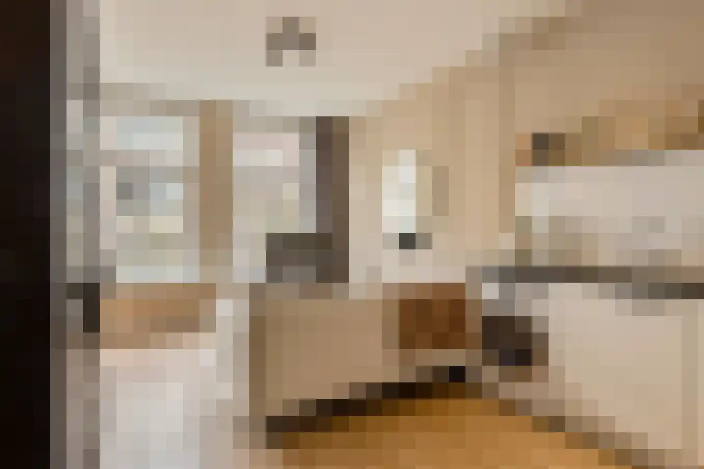 Tweede Jan Steenstraat 40 2 Amsterdam thumbnail 5