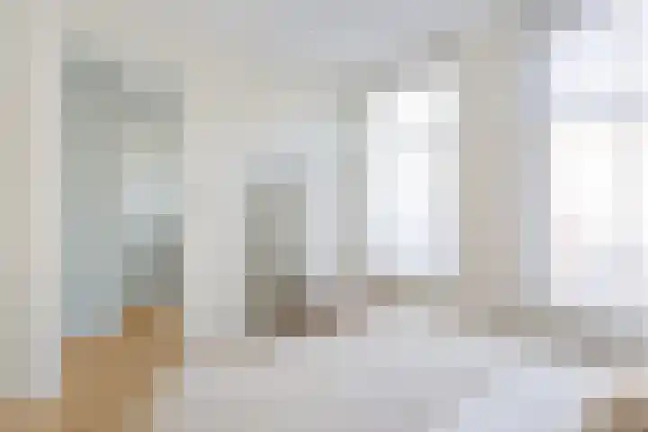 Tweede Jan Steenstraat 44 O Amsterdam thumbnail 12