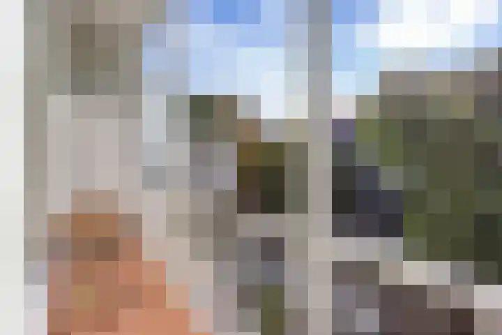 Tweede Jan Steenstraat 44 O Amsterdam thumbnail 5