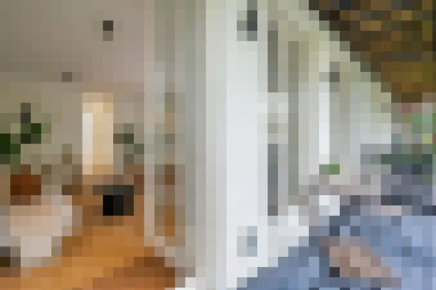 Tweede Jan Steenstraat 49 B Amsterdam thumbnail 11