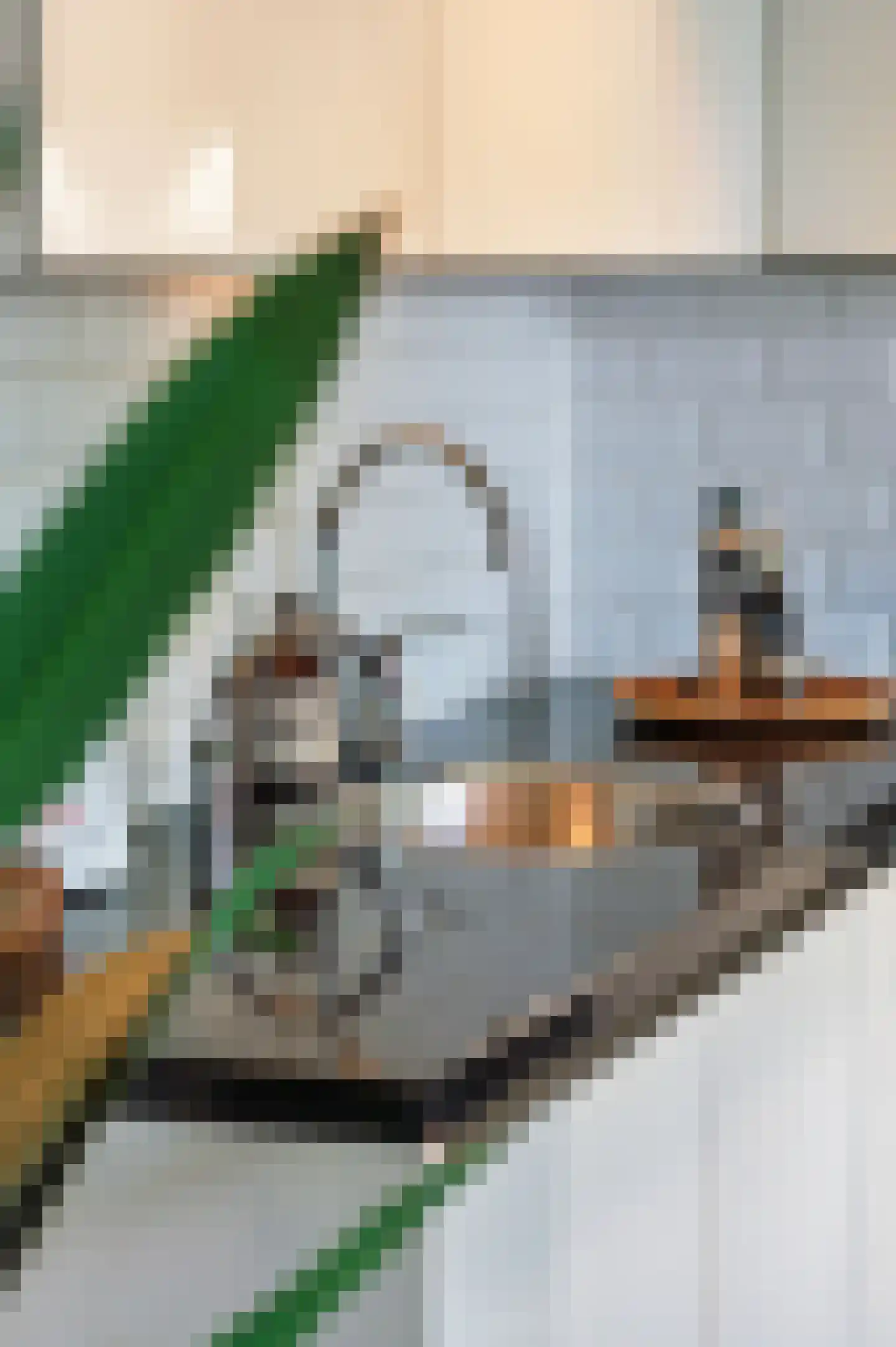 Tweede Jan Steenstraat 49 B Amsterdam thumbnail 17