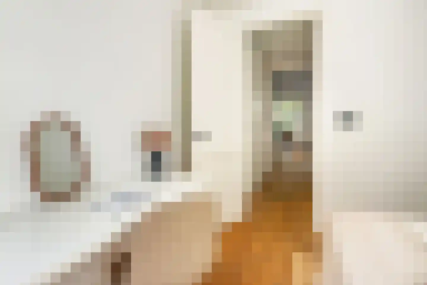 Tweede Jan Steenstraat 49 B Amsterdam thumbnail 24