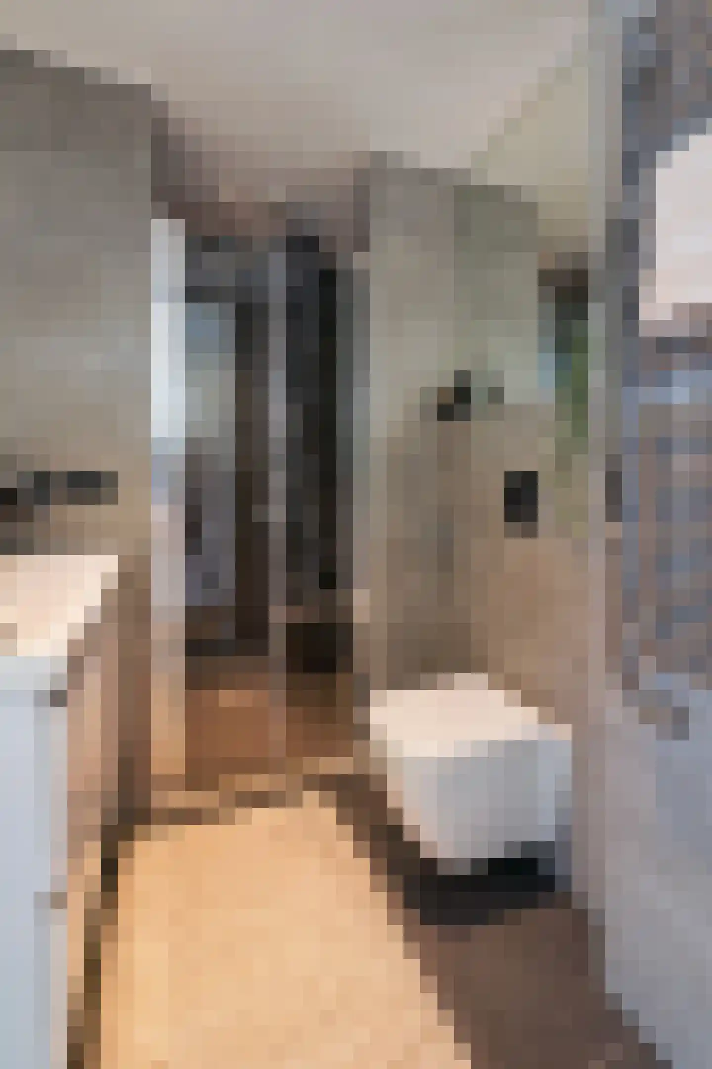 Tweede Jan Steenstraat 49 B Amsterdam thumbnail 30