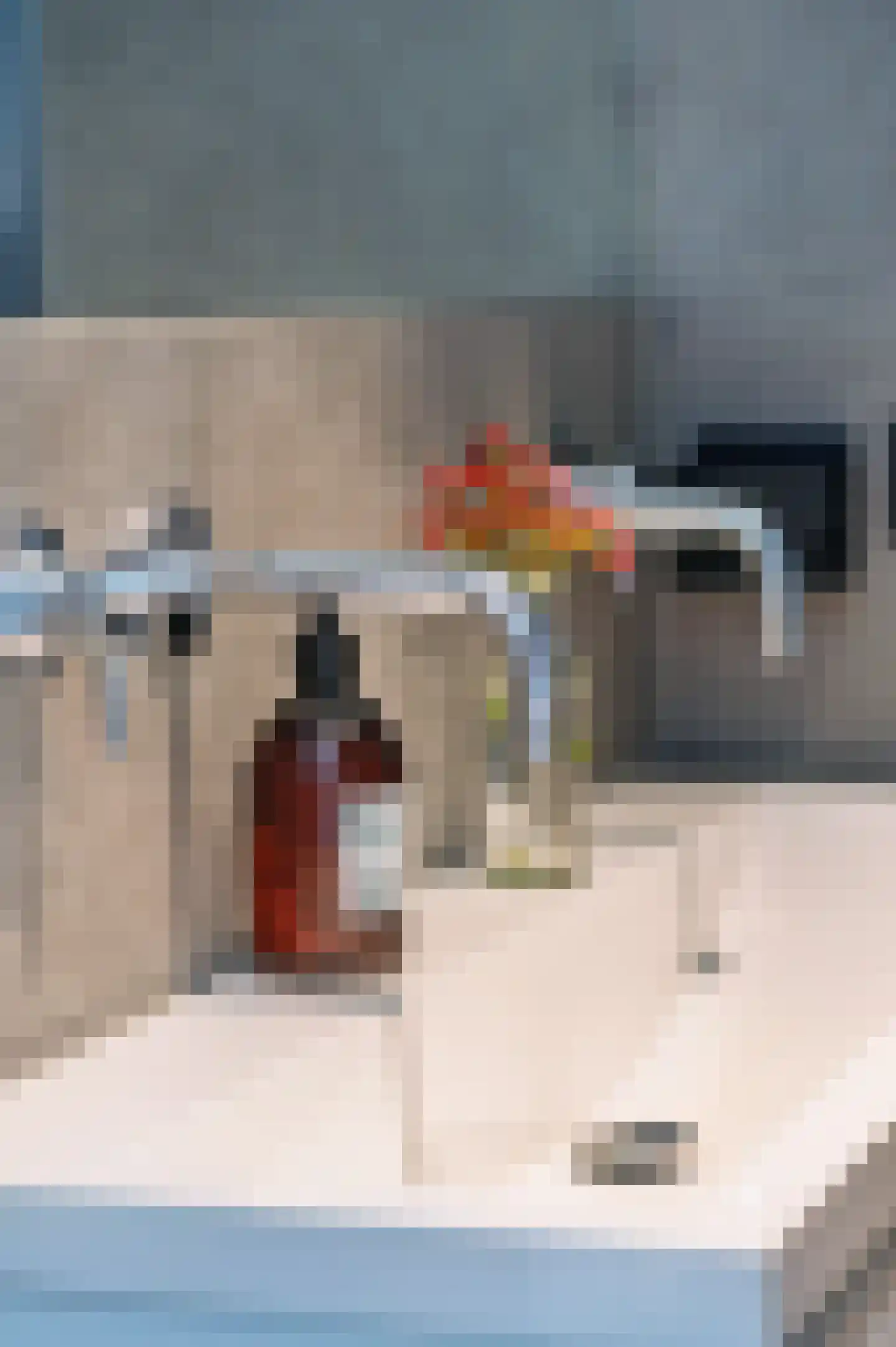 Tweede Jan Steenstraat 49 B Amsterdam thumbnail 32