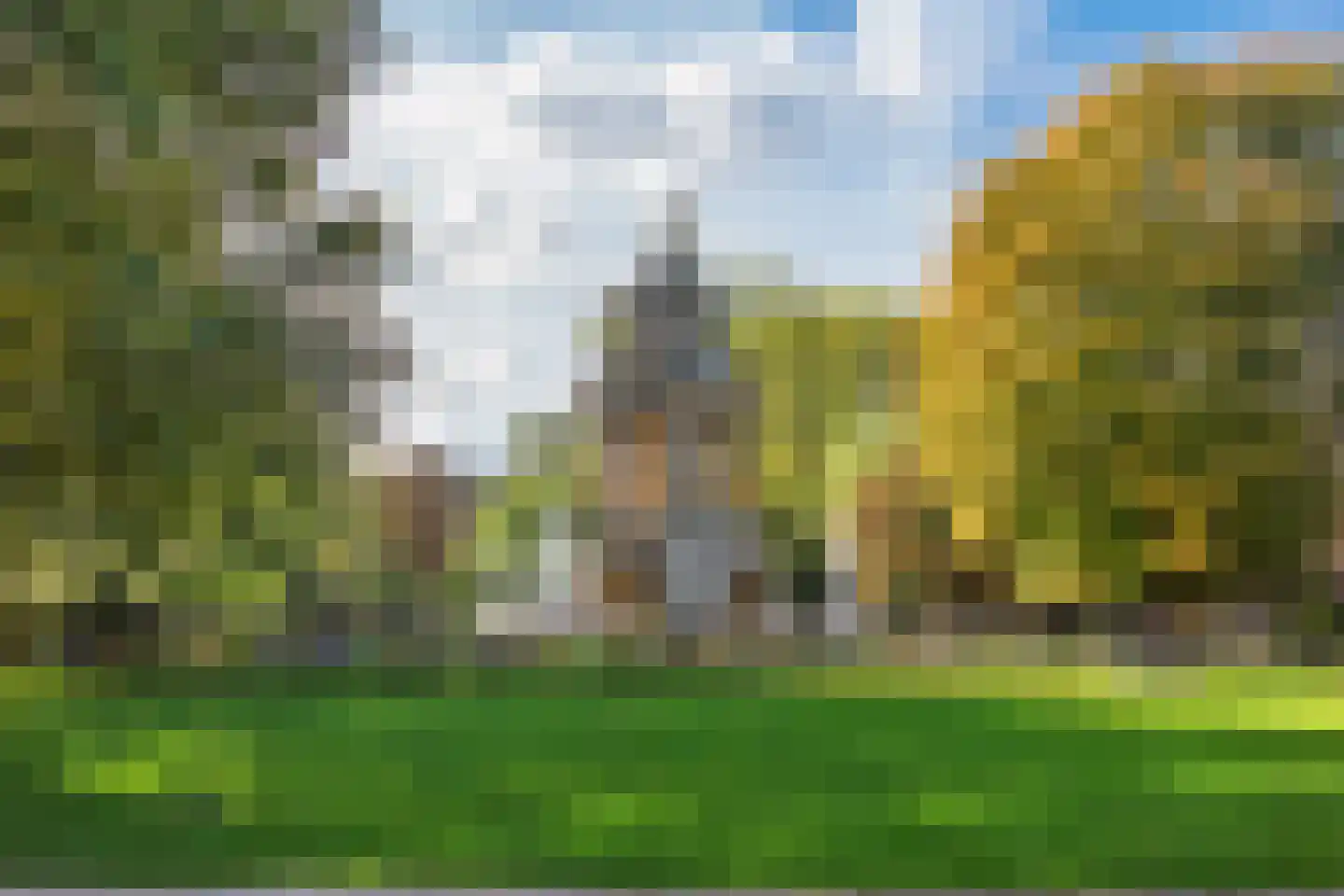 Tweede Jan Steenstraat 49 B Amsterdam thumbnail 38